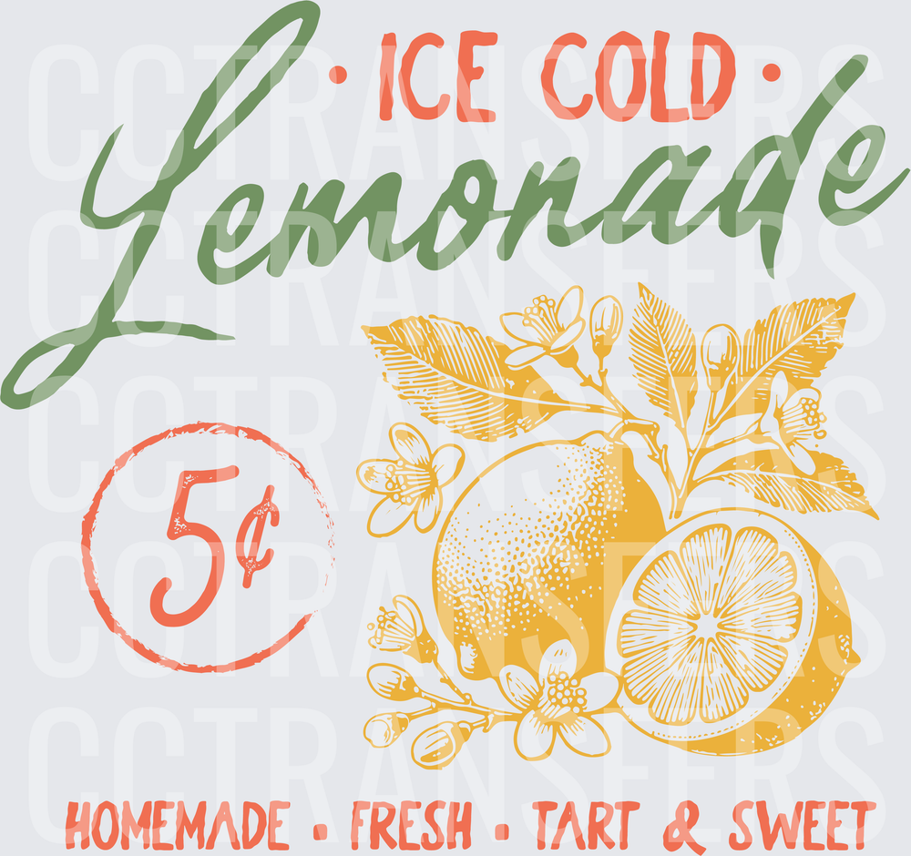 Ice Cold Lemonade 5 Cents Homemade Fresh Tart Sweet (DTF)