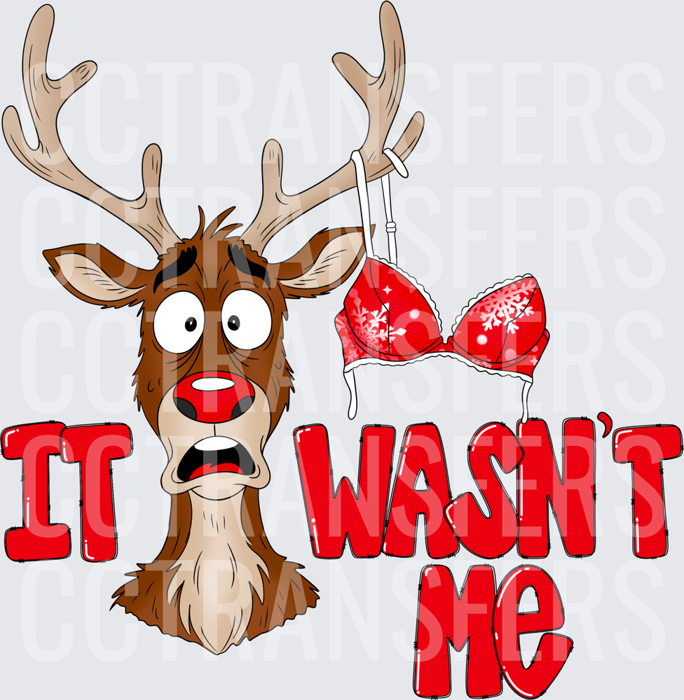 Shocked Rudolph Red-Nosed Reindeer Bra Antlers It Wasn't Me (DTF)