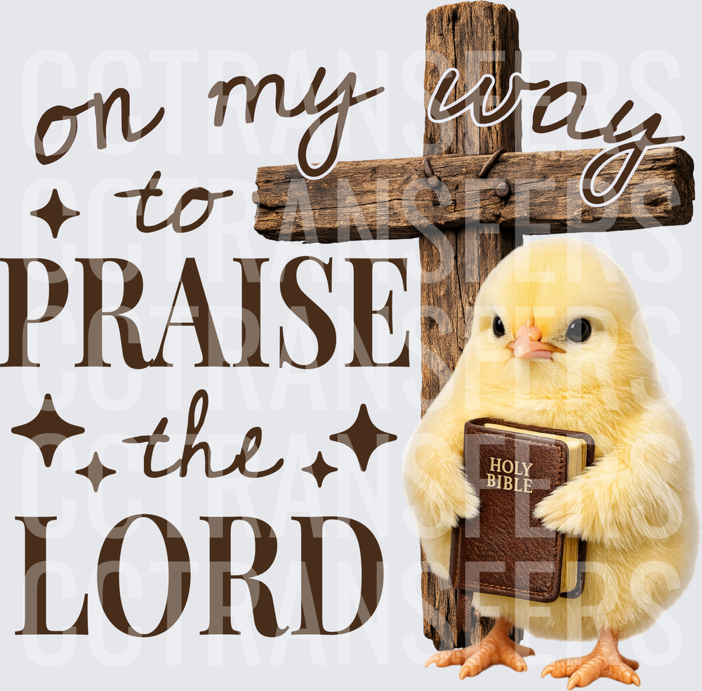On My Way To Praise The Lord Baby Chick Cross Bible (DTF)