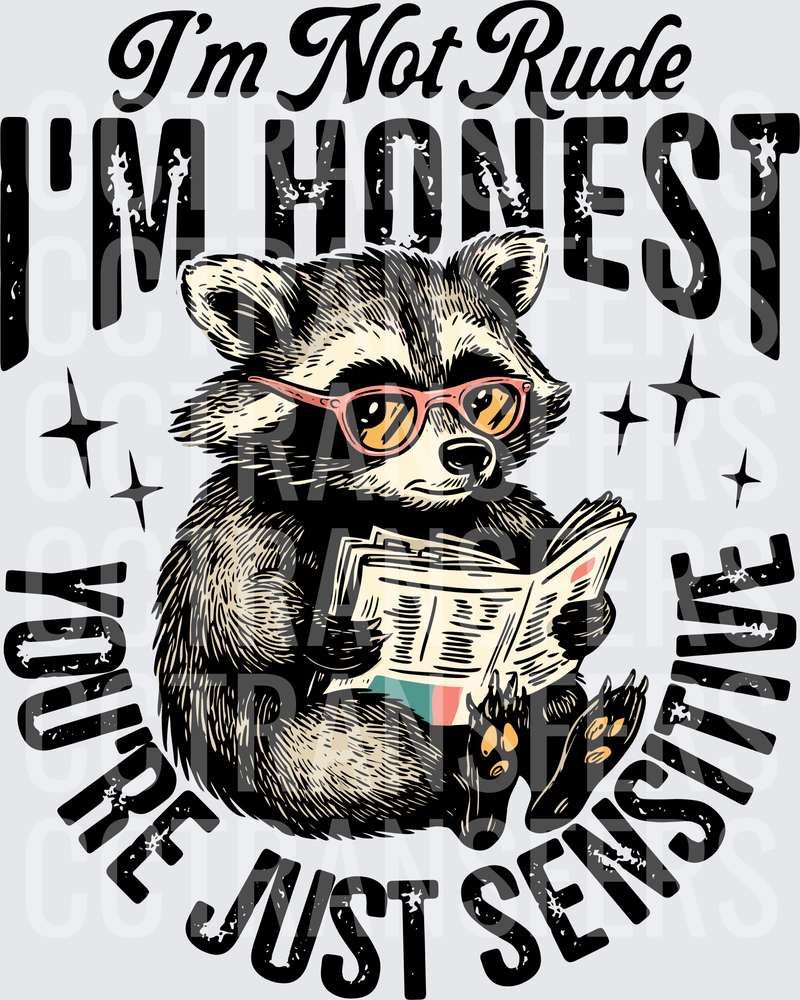 I'm Not Rude I'm Honest You're Just Sensitive Raccoon (DTF)