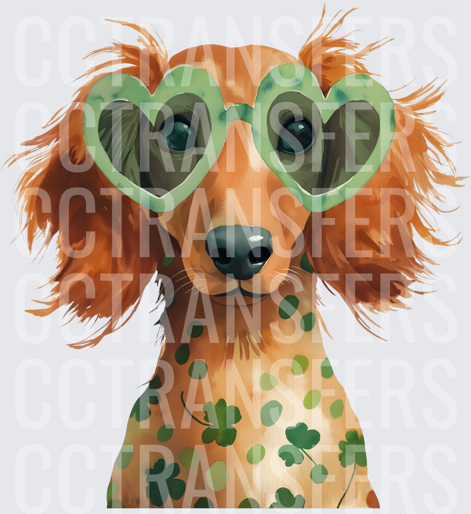 St. Patrick's Day Dachshund with Heart Shamrock Glasses (DTF)