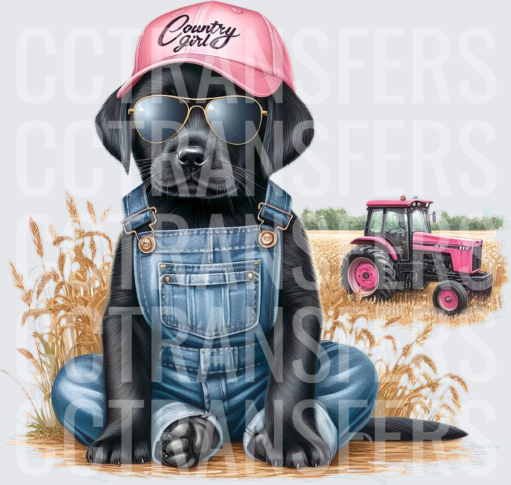 Country Girl Black Lab Puppy Overalls Pink Tractor (DTF)