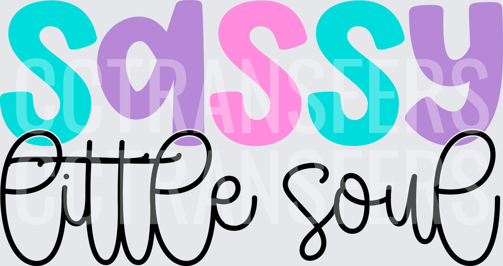 Sassy Little Soul Colorful Retro Typography (DTF)
