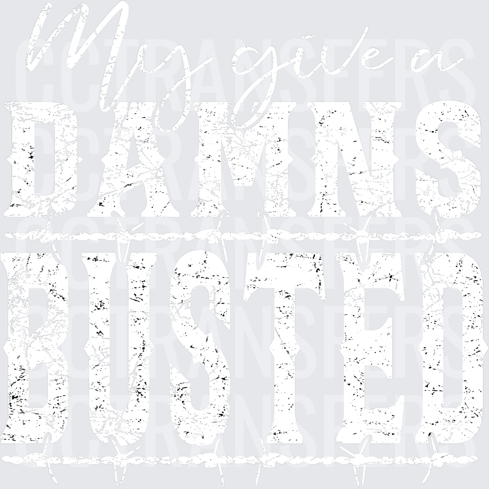 Can't Give A Fathers Duster Distressed Grunge Text (DTF)
