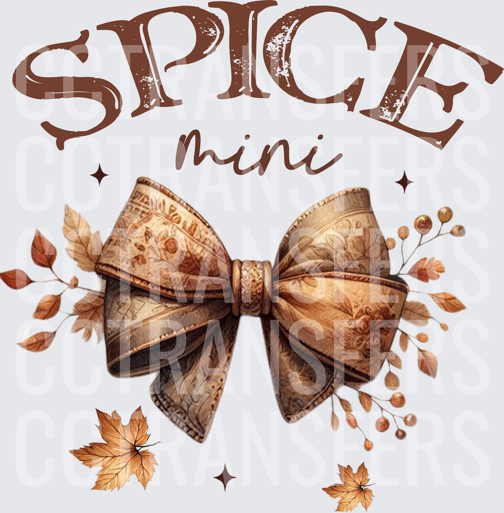 Spice Mini Autumn Bow with Fall Leaves (DTF)