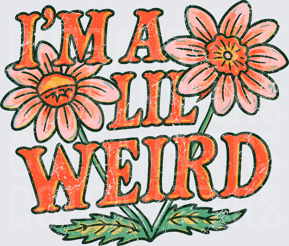 I'm A Lil Weird Distressed Floral Daisy Design (DTF)