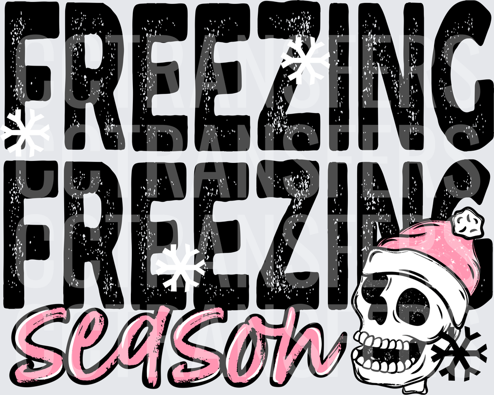 Freezing Freezing Season Skull Pink Santa Hat Snowflake (DTF)