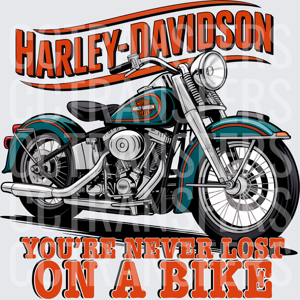 Vintage Cruiser Motorcycle You're Never Lost On A Bike (DTF)