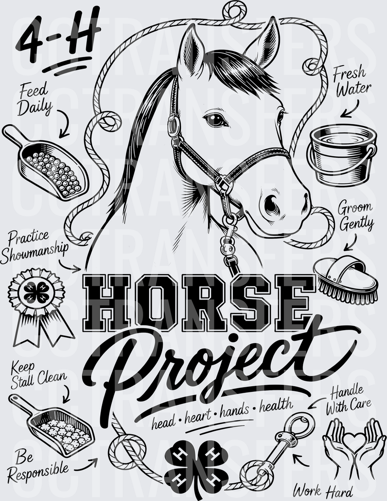 4-H Horse Project Head Heart Hands Health (DTF)