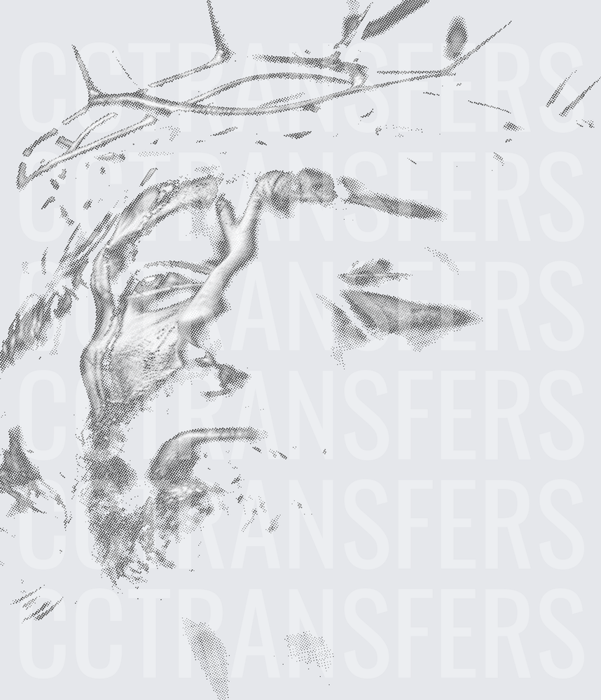 Faded Sketch Man with Crown of Thorns Close-Up (DTF)