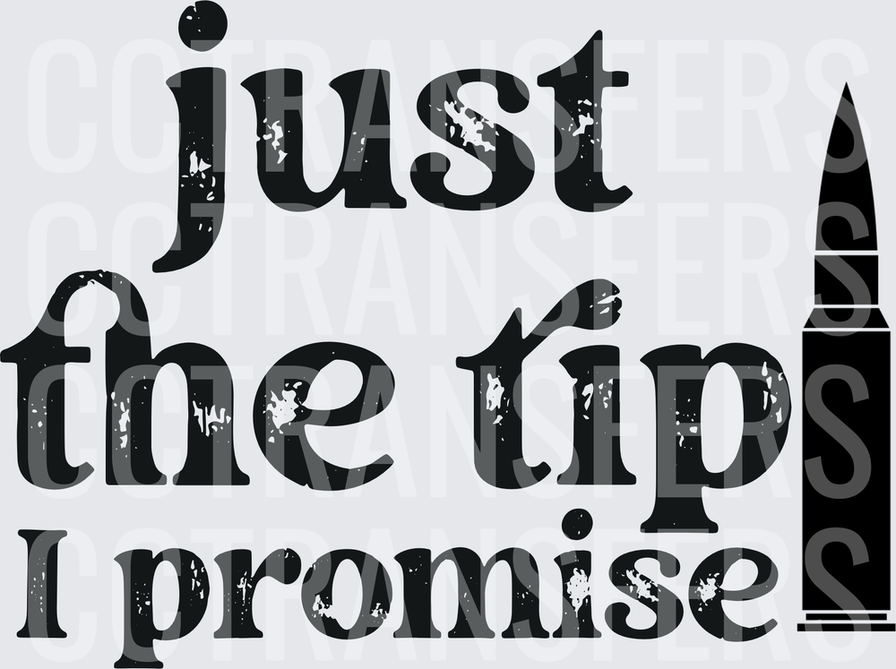 Just The Tip I Promise Distressed Bullet Graphic (DTF)