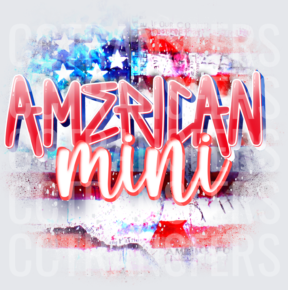 American Mini Patriotic Flag Grunge Watercolor (DTF)