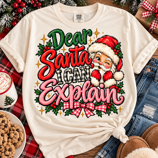 Dear Santa I Can Explain Winking Santa Holly Christmas (DTF)