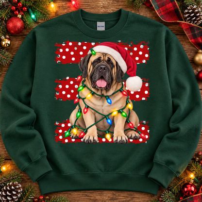 Boxer Dog Santa Hat Wrapped in Christmas Lights (DTF)