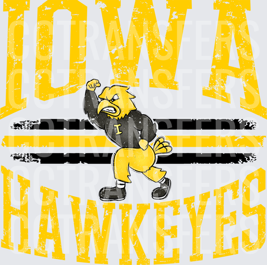 Vintage Distressed Herky Hawkeyes Mascot Stripe Design (DTF)