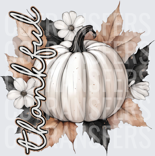 Thankful White Pumpkin Floral Fall Leaves (DTF)