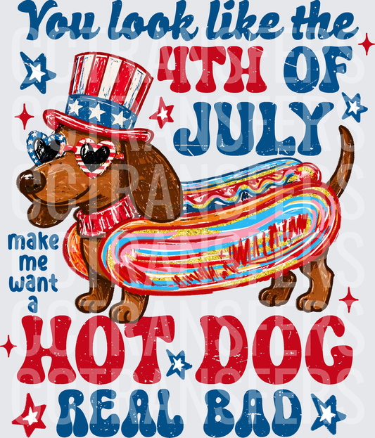 You Look Like The 4th Of July Make Me Want A Hot Dog Real Bad Dachshund (DTF)