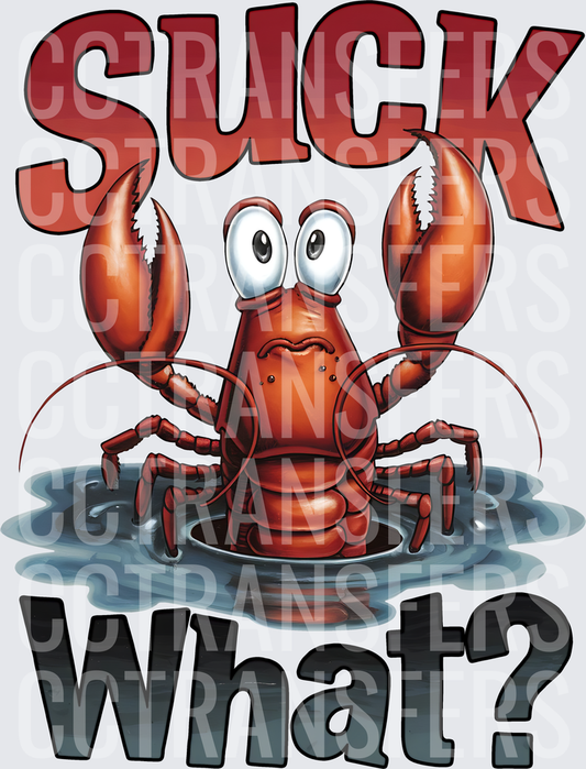 Suck What Funny Crawfish Cartoon Water Splash (DTF)