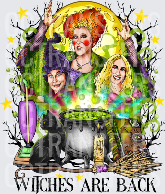 Witches Are Back Three Halloween Sisters Cauldron Moon (DTF)