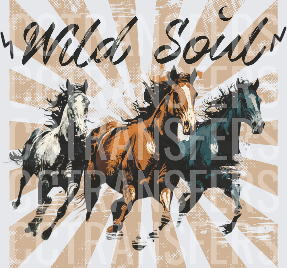 Wild Soul Three Running Horses Sunburst (DTF)