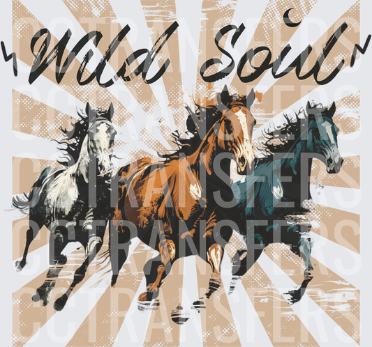Wild Soul Three Running Horses Sunburst (DTF)