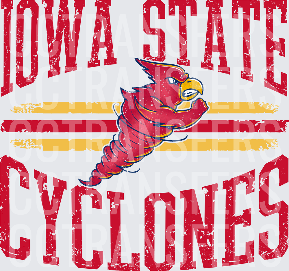 Cyclones Cardinal Bird Tornado Mascot Vintage Grunge (DTF)
