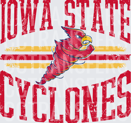 Cyclones Cardinal Bird Tornado Mascot Vintage Grunge (DTF)