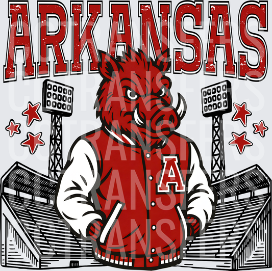 Arkansask Hog Varsity Jacket Stadium Stars (DTF)