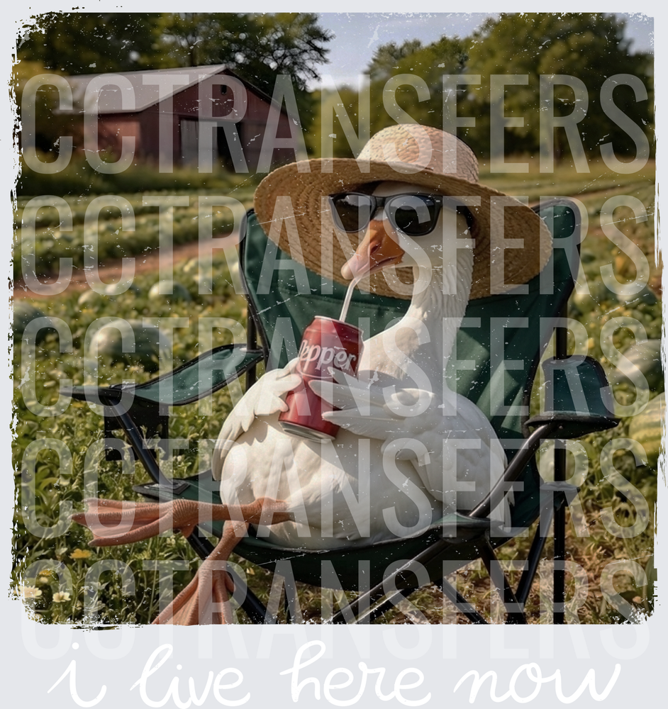Relaxing Goose Straw Hat Sunglasses Soda Can Farm (DTF)