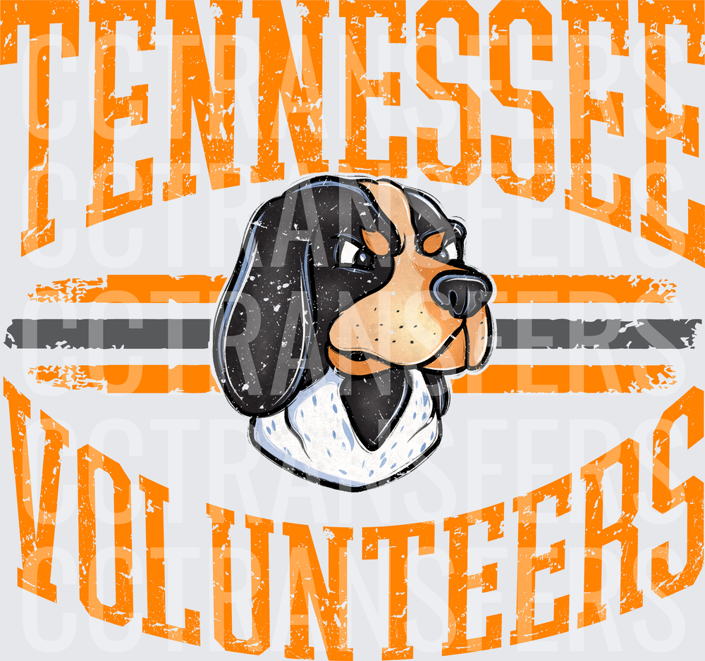Bluetick Hound Mascot Volunteers Distressed Arch (DTF)