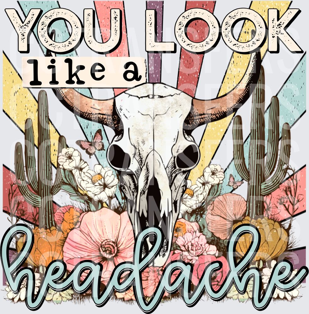 You Look Like A Headache Boho Bull Skull Floral Western (DTF)