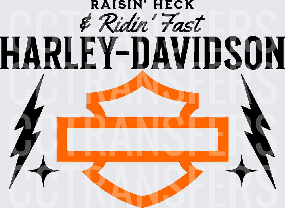 Raisin Heck & Ridin Fast Shield Lightning Bolt (DTF)