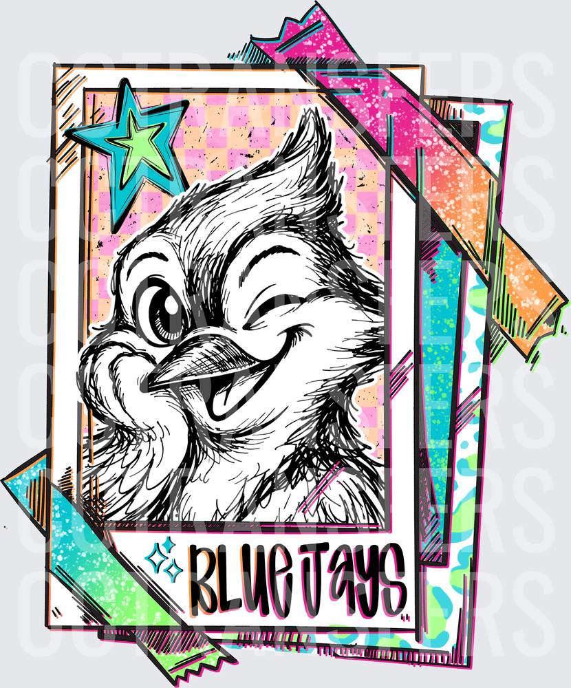 Smirking Blue Jay Bird Retro Trading Card Pop Art (DTF)