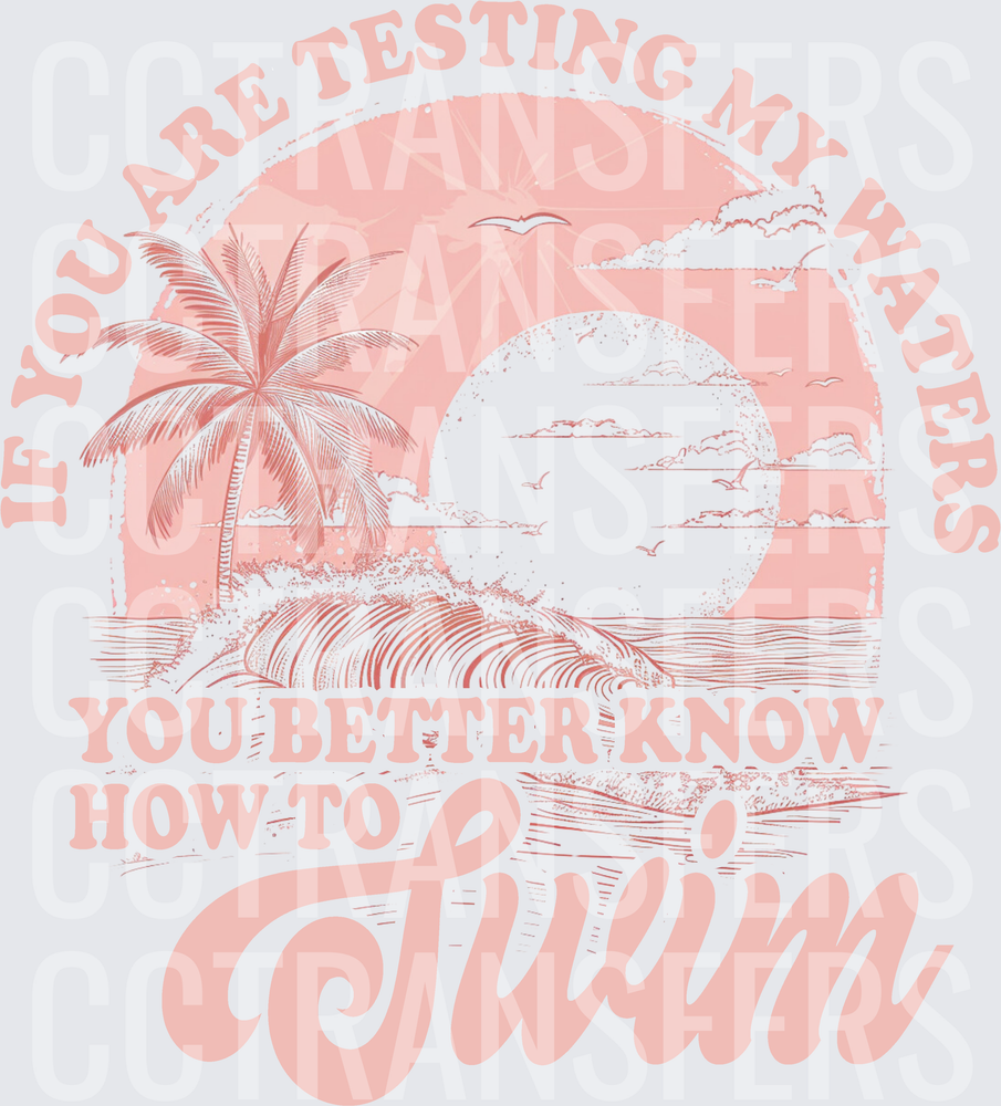 If You Are Testing My Waters You Better Know How To Swim Beach Sunset (DTF)