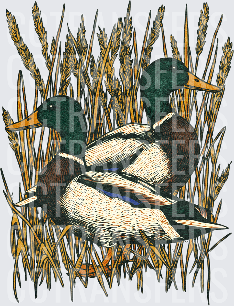Vintage Woodcut Mallard Ducks in Golden Wheat Reeds (DTF)