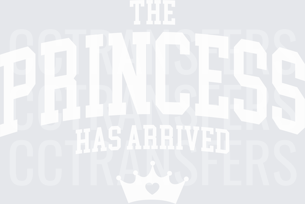 The Prince Has Arrived Bold Text Graphic (DTF)