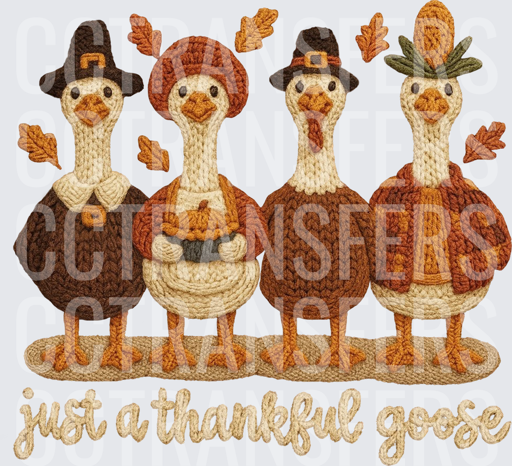 Just A Thankful Goose Crochet Pilgrim Geese Fall (DTF)
