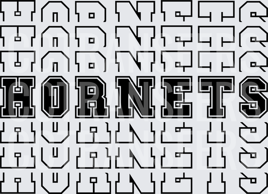 Hornets Bold Collegiate Repeat Pattern Black White (DTF)