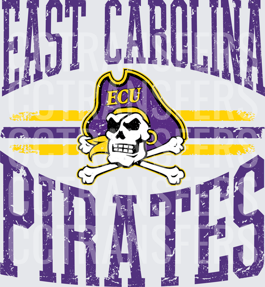 Pirate Skull Crossbones Purple Gold Distressed Varsity (DTF)