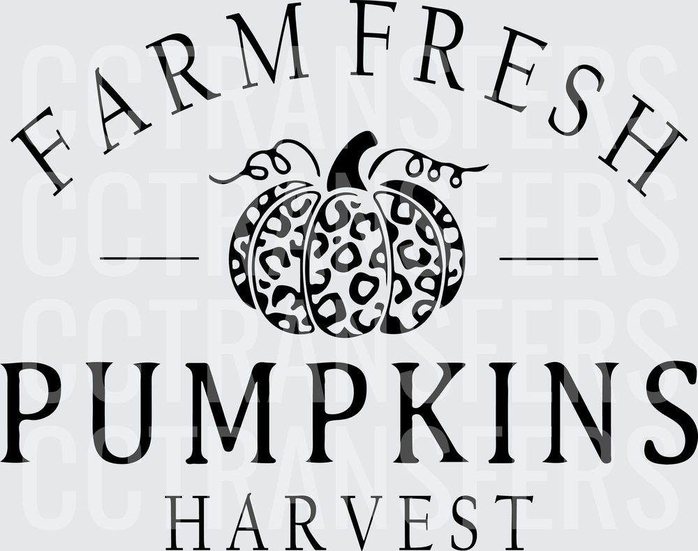 Farm Fresh Pumpkins Pumpkins