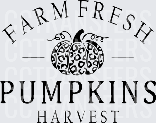 Farm Fresh Pumpkins Pumpkins