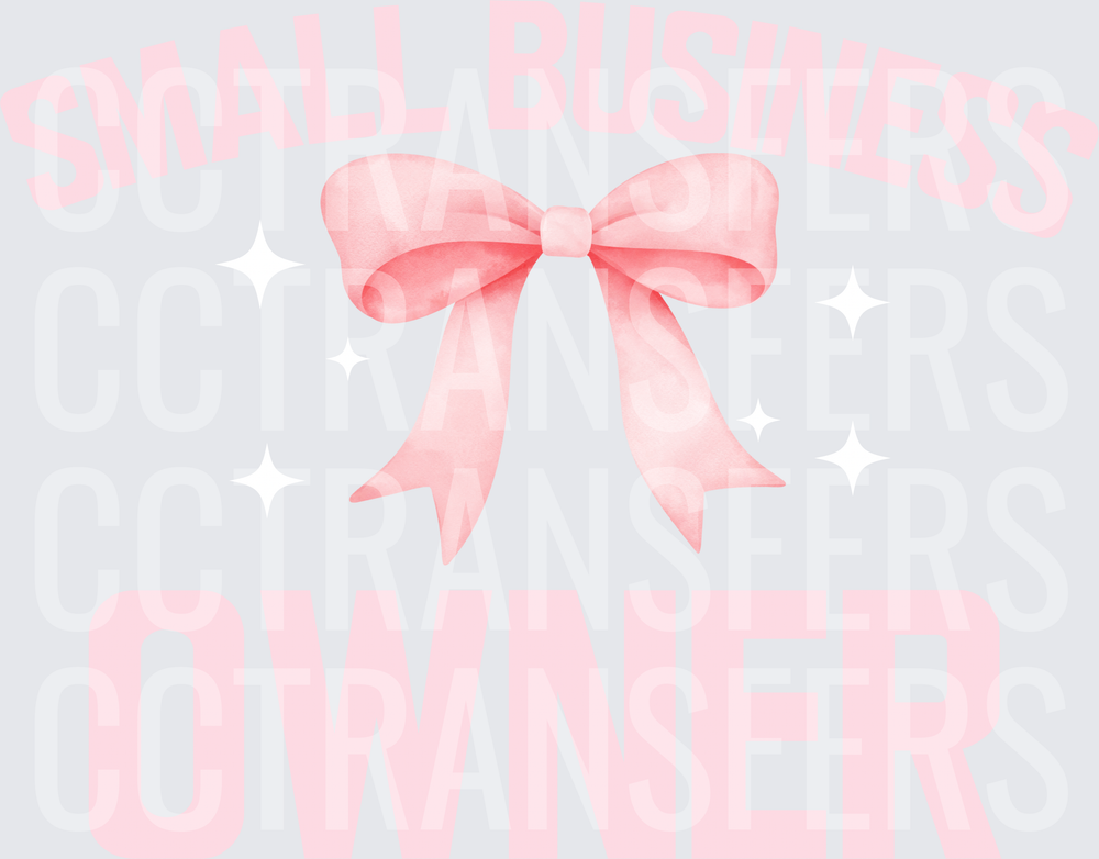 Small Business Owner Pink Bow Coquette (DTF)
