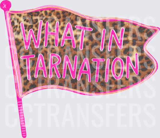 What In Tarnation Leopard Print Pink Flag (DTF)