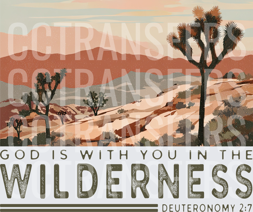 God Is With You In The Wilderness  (DTF)