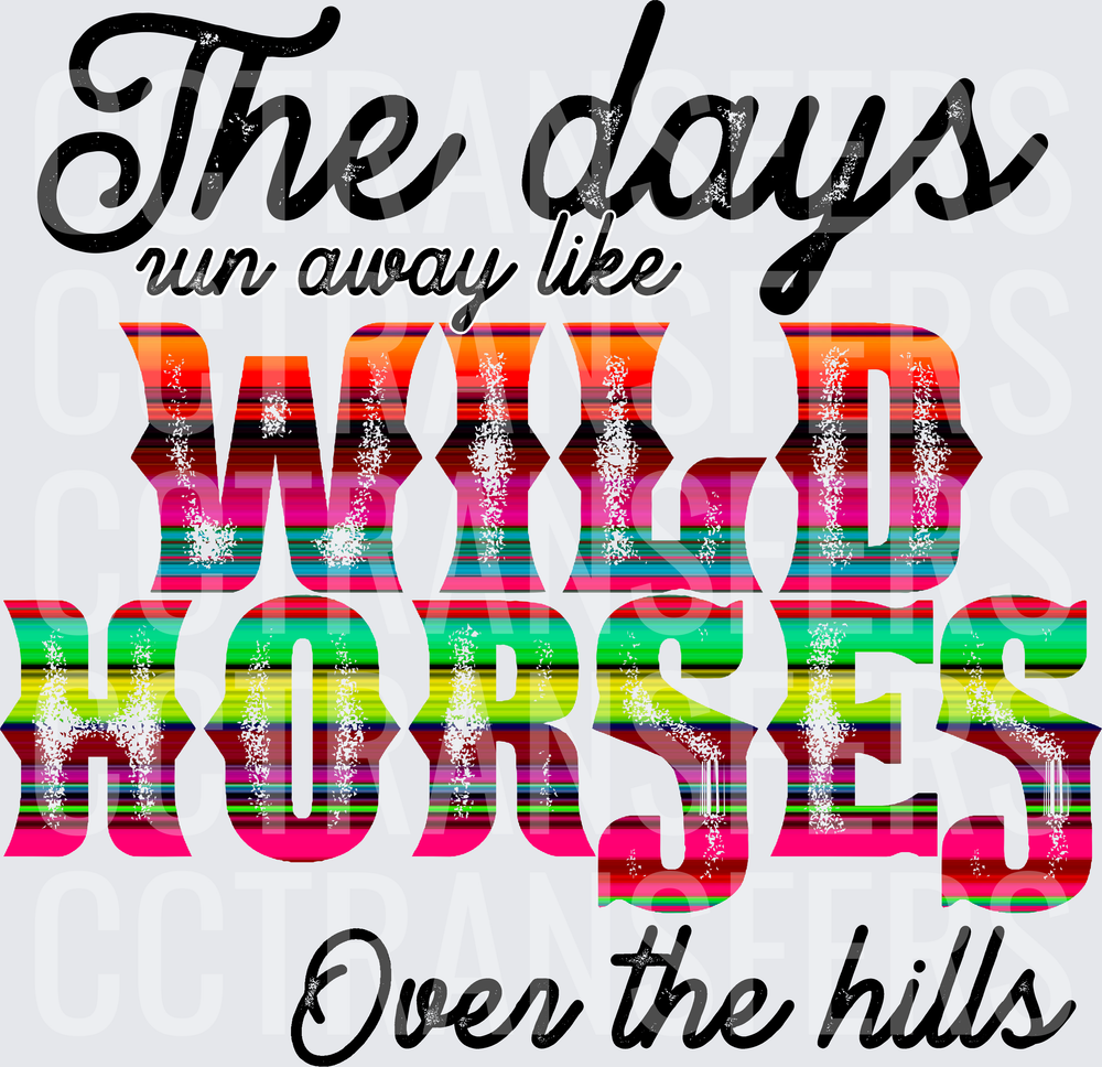The Days Run Away Like Wild Horses Over The Hills Serape (DTF)