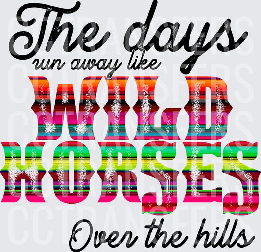 The Days Run Away Like Wild Horses Over The Hills Serape (DTF)