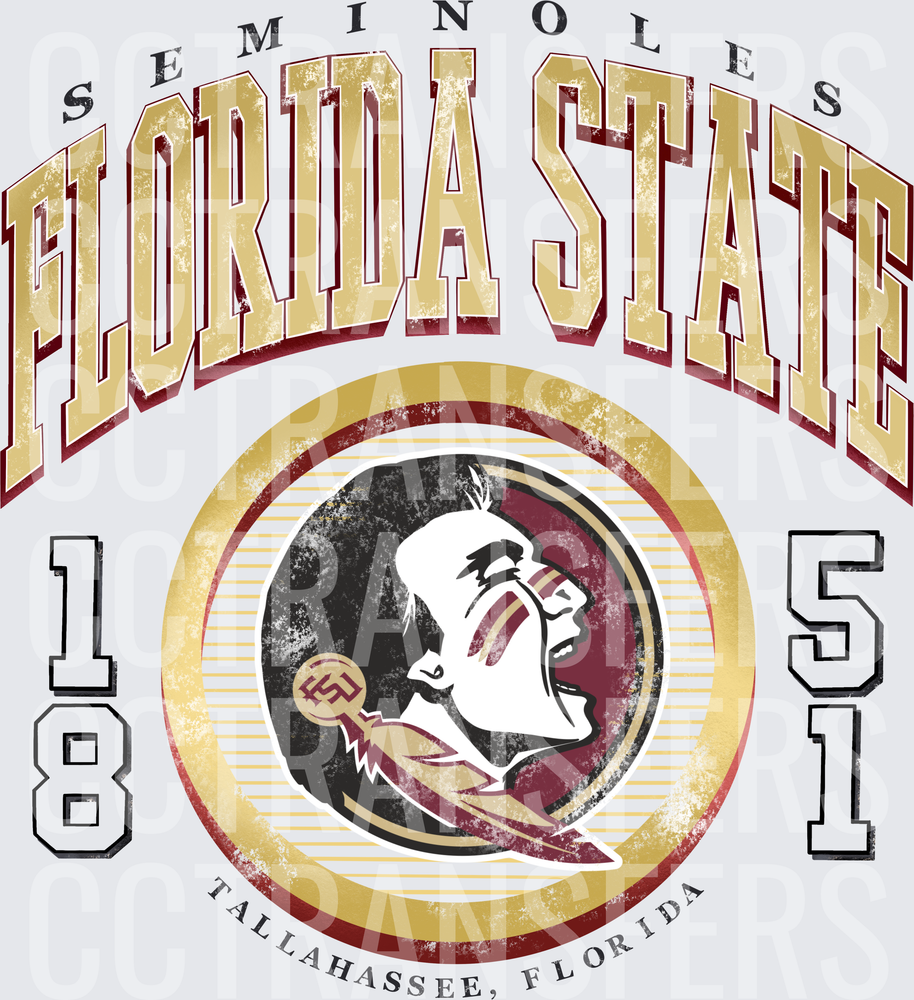 Seminoles Mascot Vintage Distressed 1851 Tallahassee (DTF)