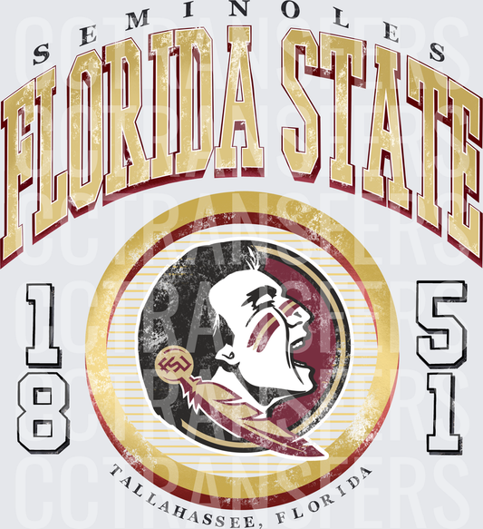 Seminoles Mascot Vintage Distressed 1851 Tallahassee (DTF)