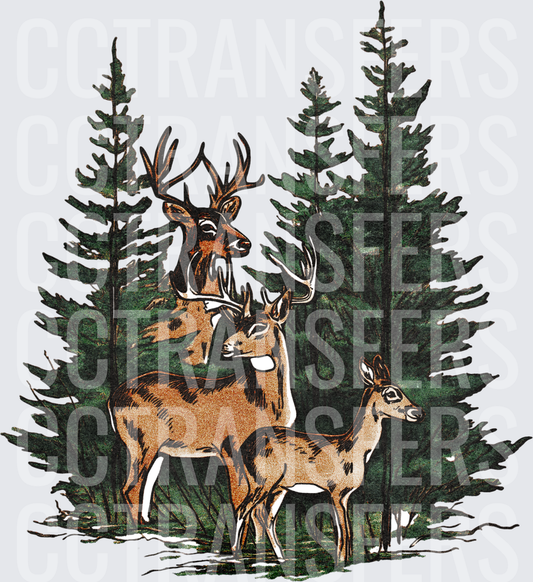 Whitetail Buck Doe and Fawn Pine Forest Scene (DTF)