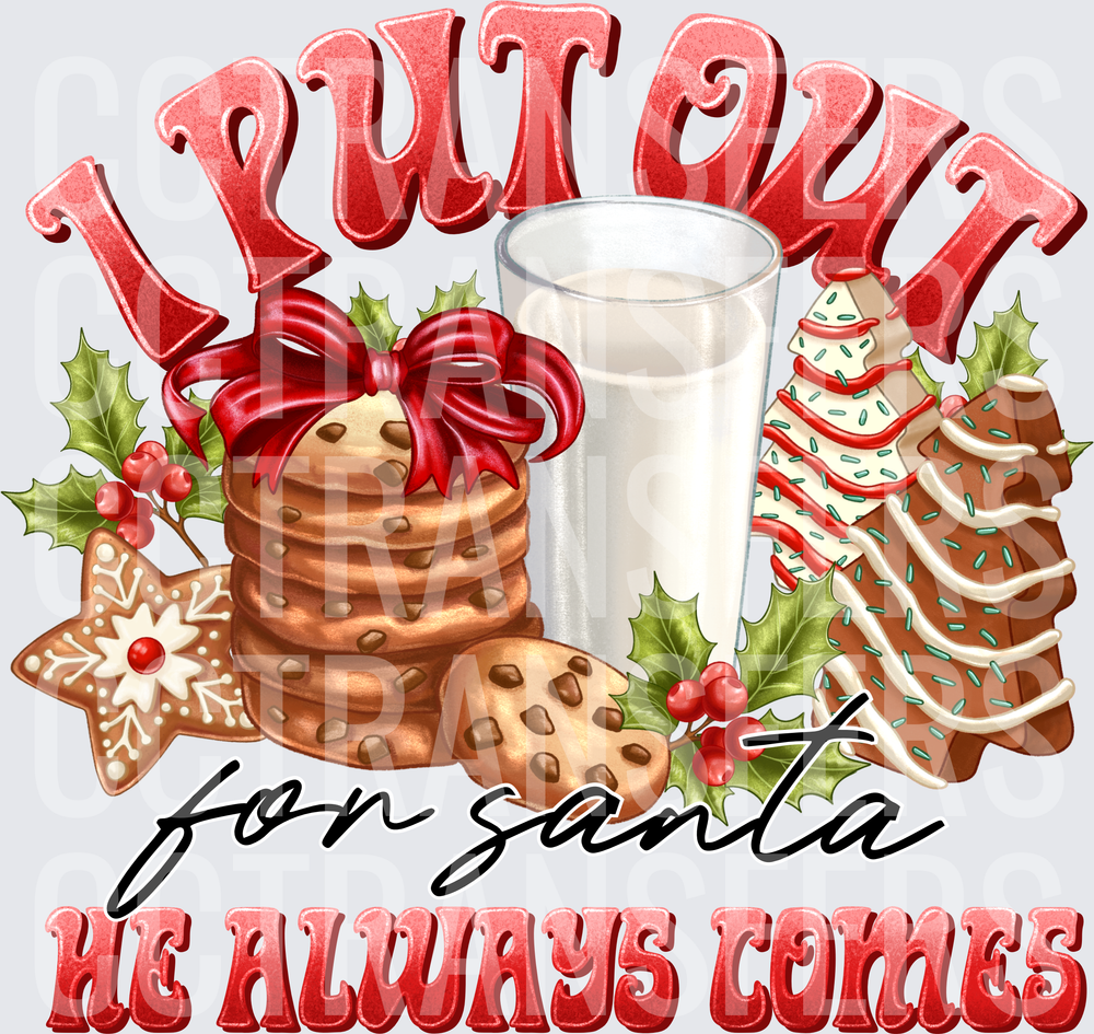 I Put Out For Santa He Always Comes Christmas Cookies Milk (DTF)